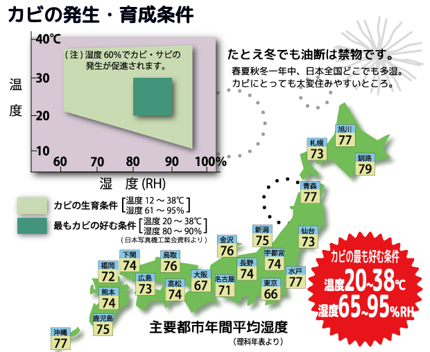 防潮儲(chǔ)存是霉菌的大敵